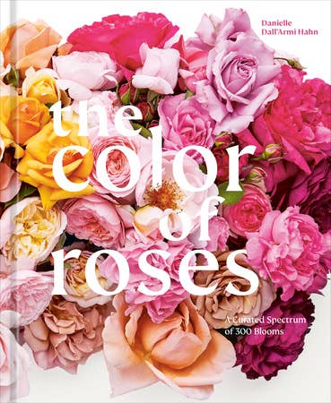 The Color Of Roses