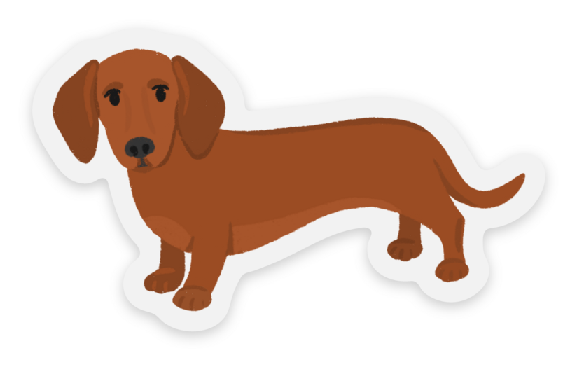 Clear Daschund Dog Sticker