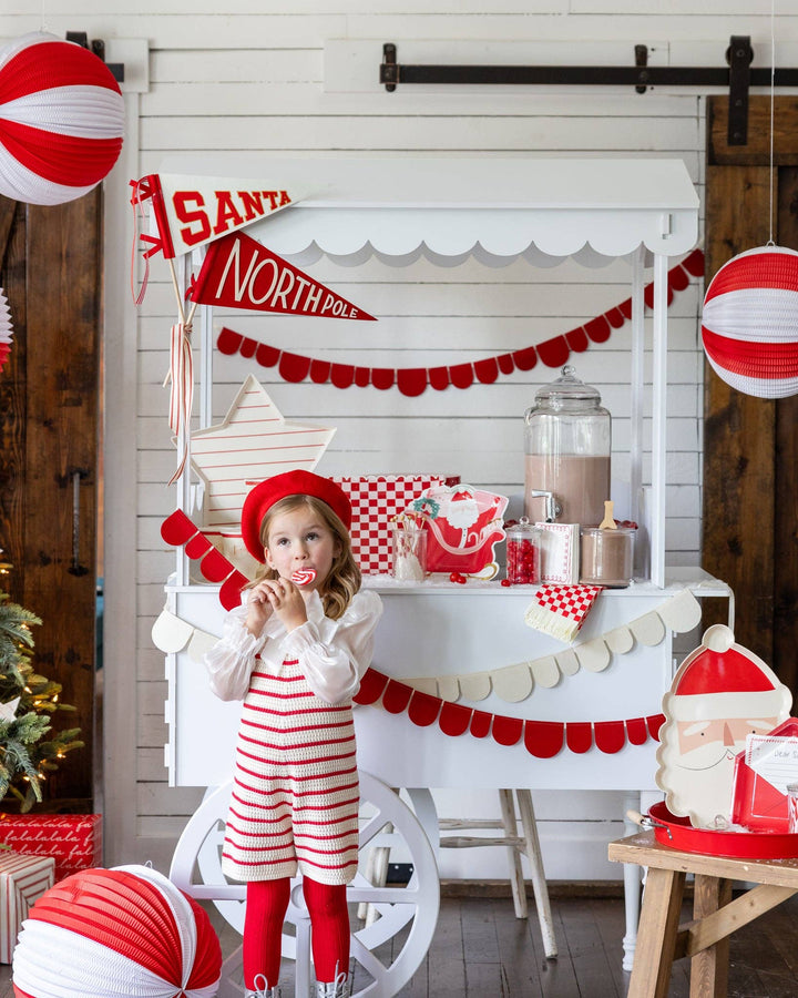 Santa's Sleigh Shaped Paper Plates