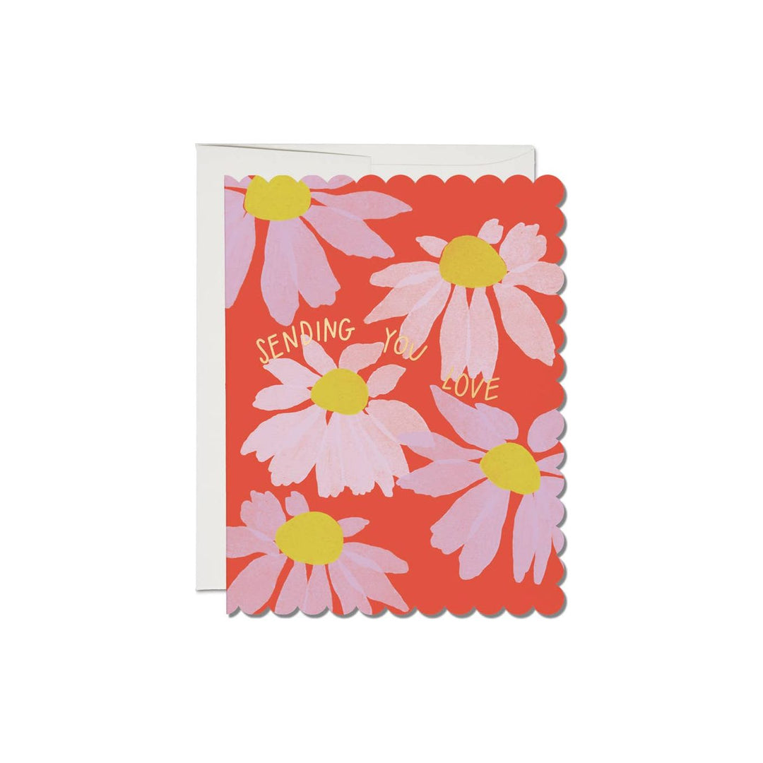 Scalloped Coneflower Greeting Card